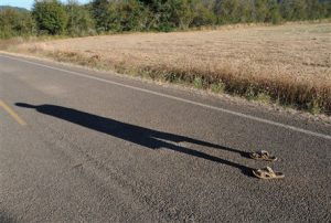 Burn-out preventie training